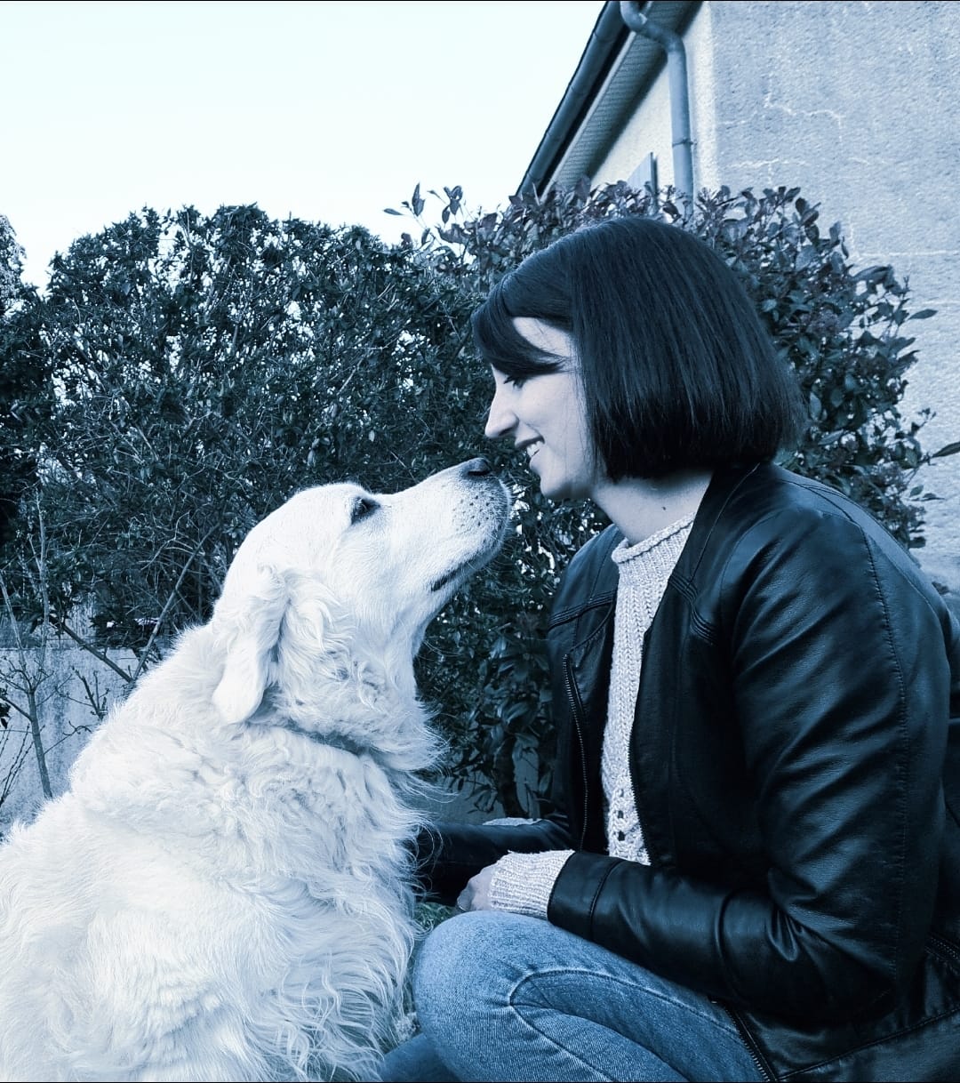 Education petsitting