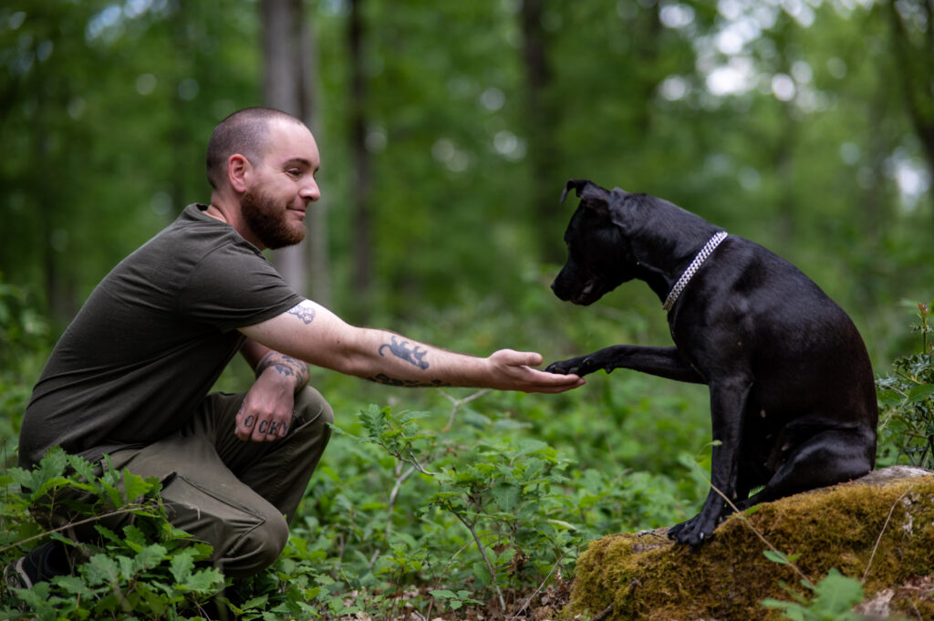 Photographe-chiens-cher