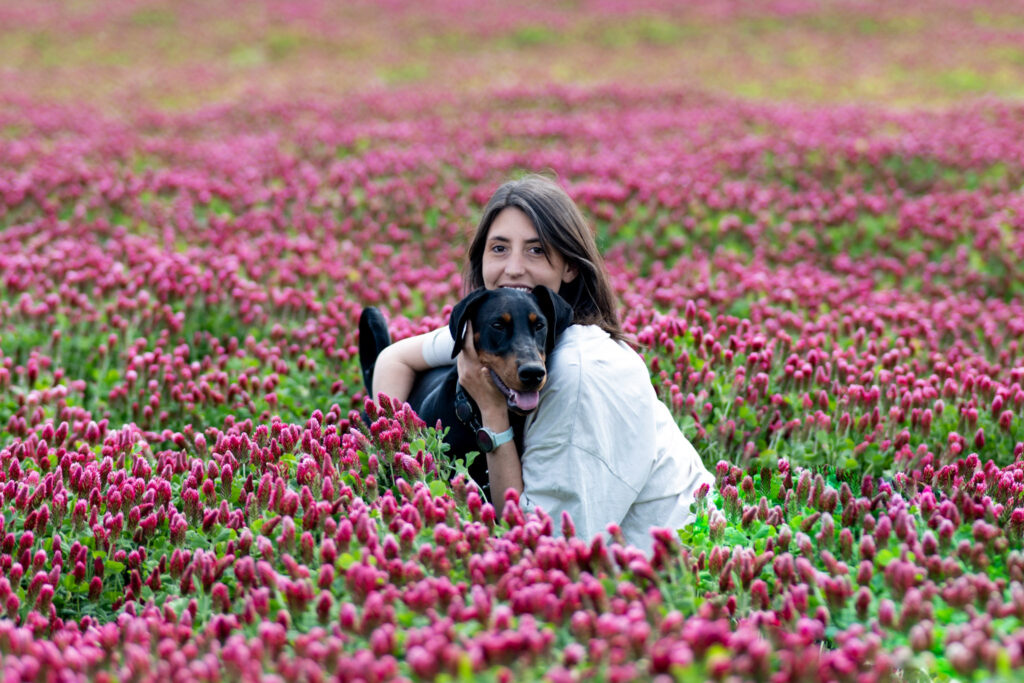 Photographe-chiens-Chateauroux