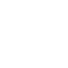 Laeti'k Animale