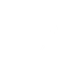 Laeti'k Animale