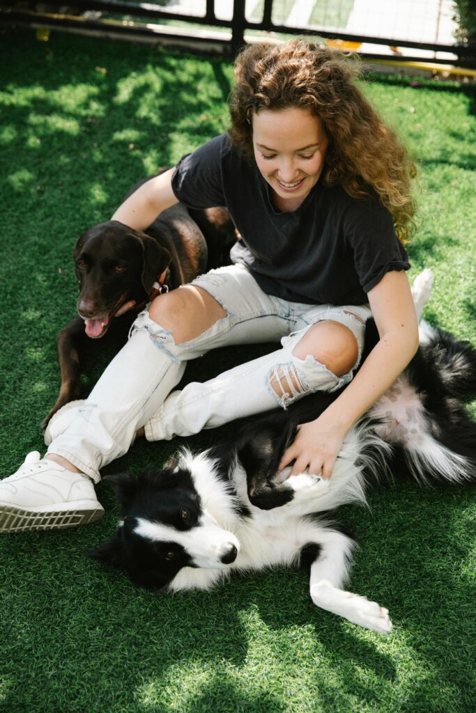 From above of cheerful female with crossed legs stroking Border Collie and bird dog on lawn