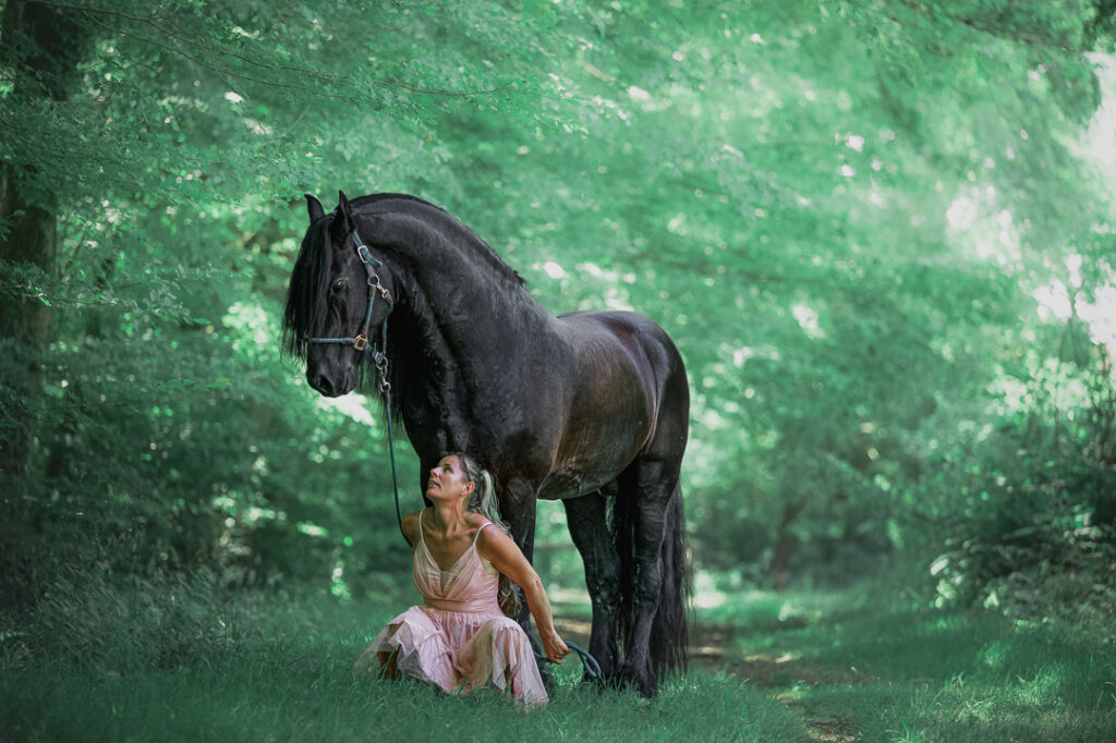 cheval noir cavaliere