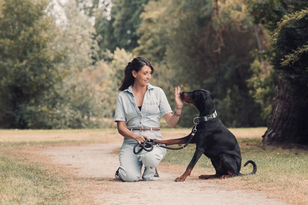 photographe chien