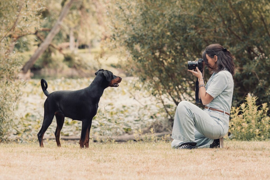Photographe en pleine séance chien